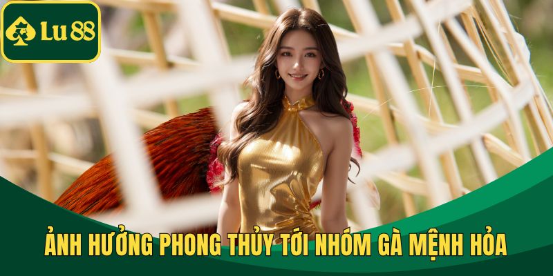 Ảnh hưởng phong thủy tới nhóm gà mệnh hỏa