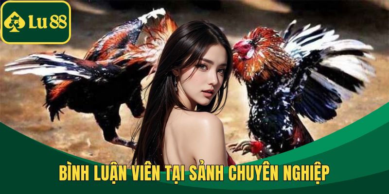 Bình luận viên tại sảnh chuyên nghiệp